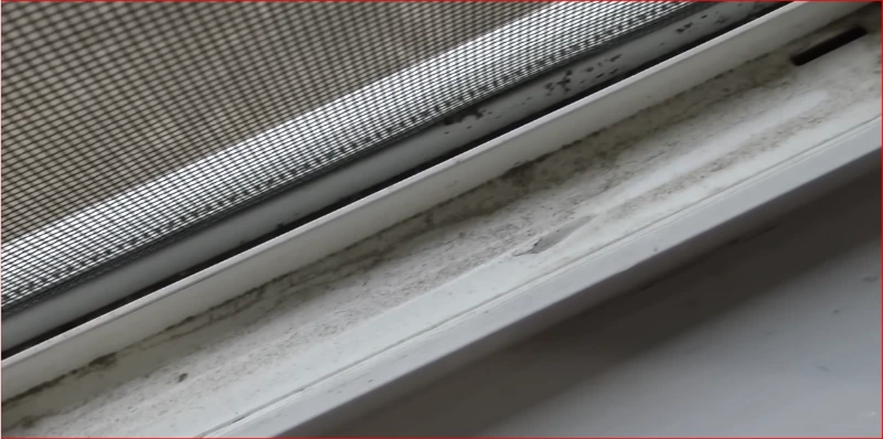 Clean window track and sill after screen and track cleaning