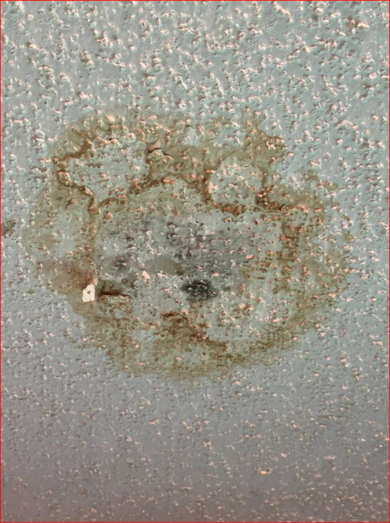 Close-up of a dried, gritty film and stain on window glass