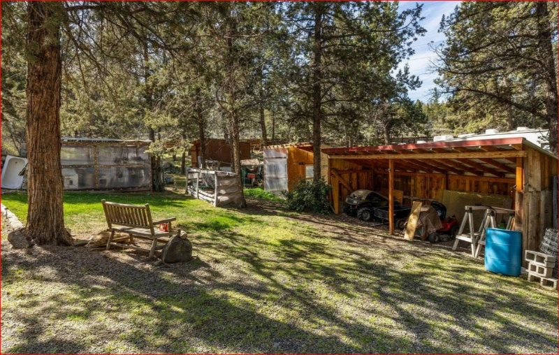 Rural Central Oregon backyard under tall pines
